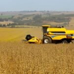 Paraná vive “ano...