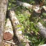 Proprietário rural é...