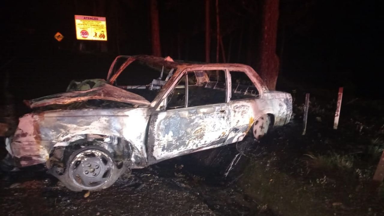 Carro destruído após sair da pista e pegar fogo na PR-460 em Pitanga