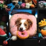 Em capacidade similar...