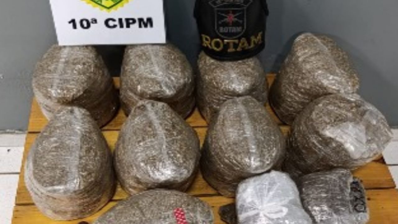 Droga apreendida em ônibus na rodoviária de Laranjeiras do Sul durante abordagem da Polícia Militar