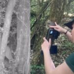 Estudantes da Unicentro...