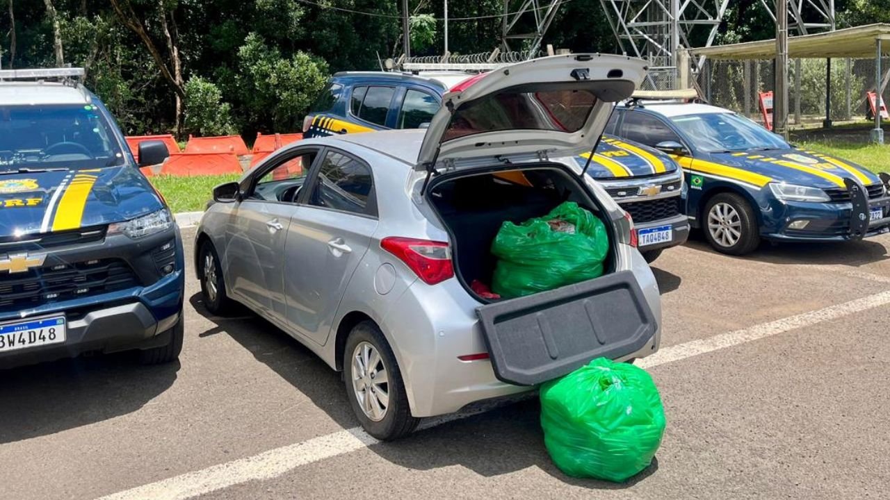 Skunk apreendido pela PRF na BR-277 em Guarapuava