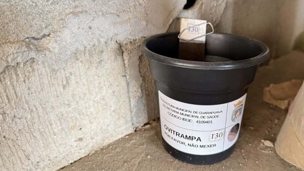 Instalação de ovitrampas em residência de Guarapuava para monitoramento do mosquito Aedes aegypti.