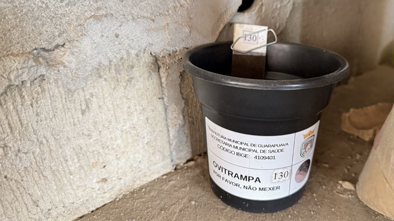Instalação de ovitrampas em residência de Guarapuava para monitoramento do mosquito Aedes aegypti.
