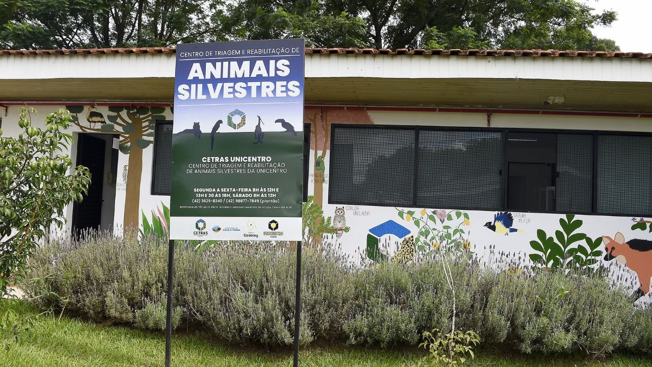 IAT e Unicentro renovaram o convênio para atendimento à fauna silvestre vitimada por mais dois anos.