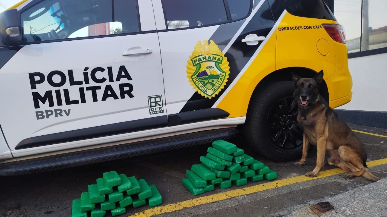 Apreensão de 21 quilos de maconha na BR-277