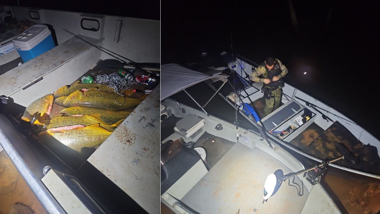 pesca-ilegal-dourado-pinhao-policia-ambiental-2026.jpg