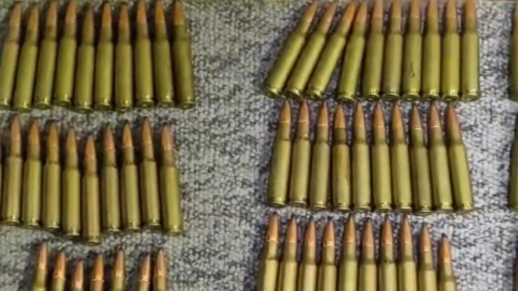 Polícia Civil apreende armas e quase 800 munições durante operação em Prudentópolis e São Mateus do Sul