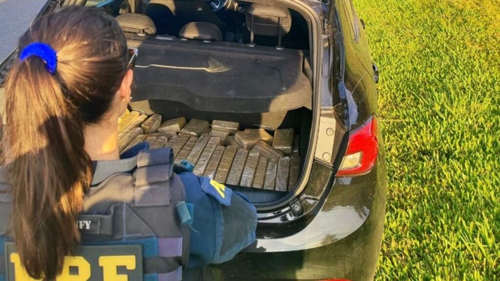 Tabletes de maconha apreendidos pela PRF em veículo na BR-277 em Teixeira Soares