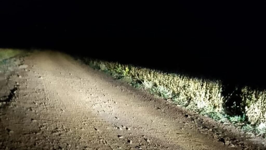 Estrada de terra onde os criminosos levaram o ônibus durante o assalto na madrugada, nas proximidades da BR-373, em Guarapuava.