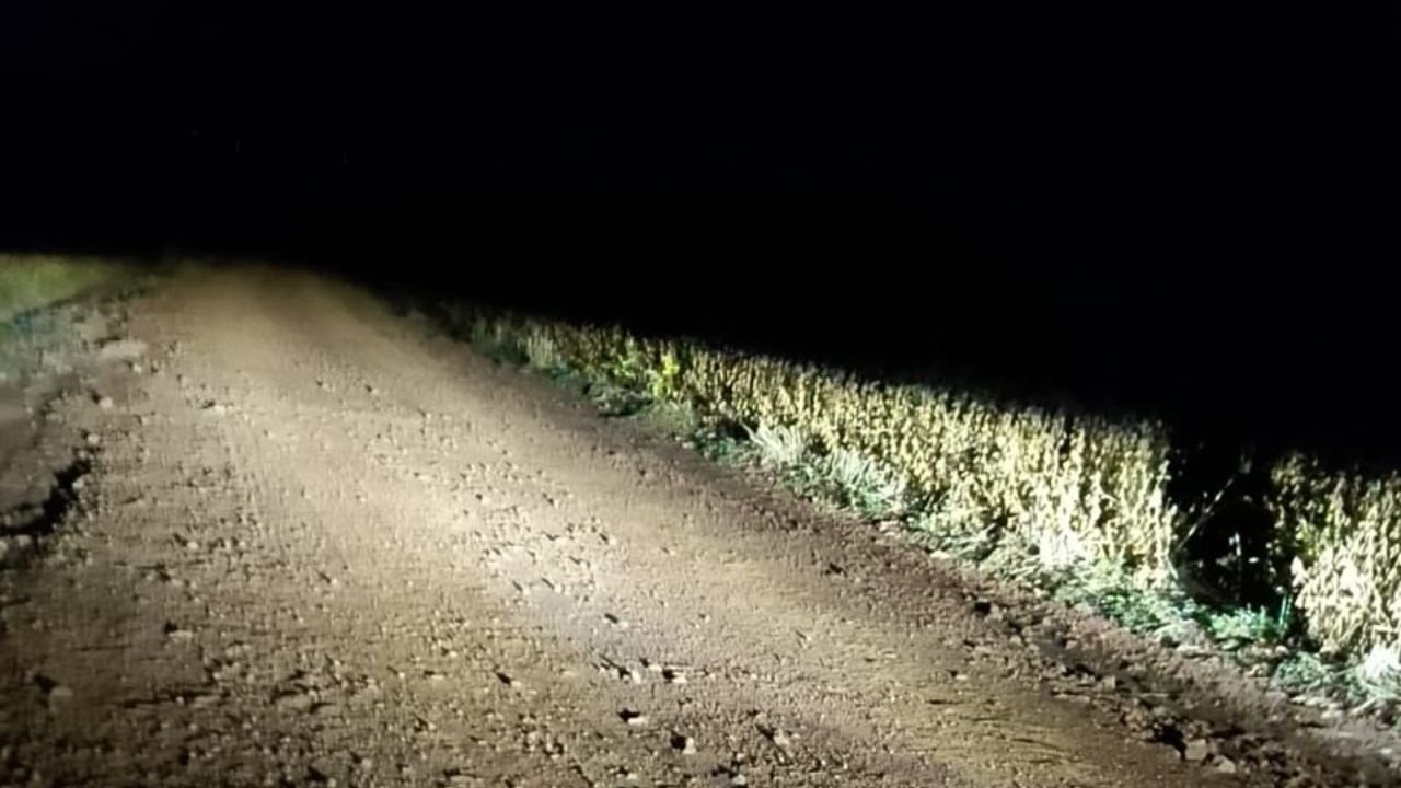 Estrada de terra onde os criminosos levaram o ônibus durante o assalto na madrugada, nas proximidades da BR-373, em Guarapuava.