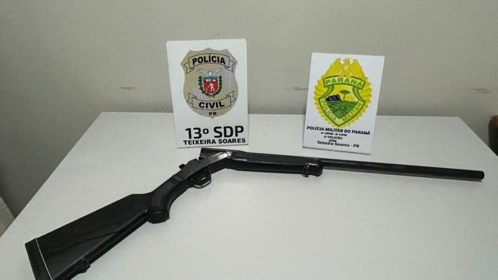 Polícia identificou suspeitos, apreendeu arma e resgatou gato vítima de maus-tratos em Fernandes Pinheiro. Foto: Divulgação/ PCPR