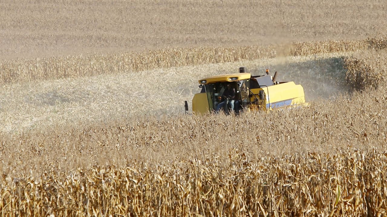 Paraná avança na produção de etanol de milho e registra alta no preço do leite. Foto: Albari Rosa/Arquivo AEN