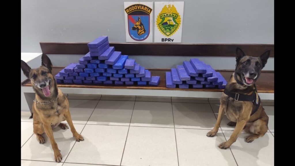 Policiais do Batalhão de Polícia Rodoviária durante apreensão de mais de 50 quilos de maconha em Guarapuava