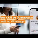 Defesa Civil de...