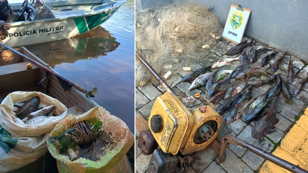 Redes e peixes apreendidos pela Polícia Ambiental durante fiscalização no Rio das Cobras