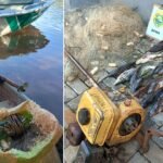 Polícia Ambiental flagra...