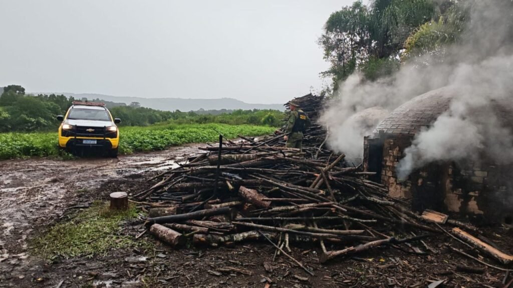 Forno utilizado na produção de carvão vegetal em área rural de Inácio Martins