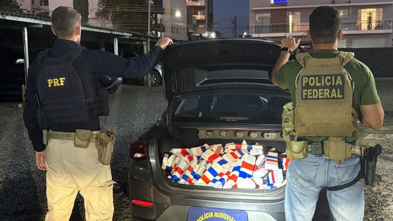 Tabletes de maconha apreendidos pela PRF e Polícia Federal em Irati