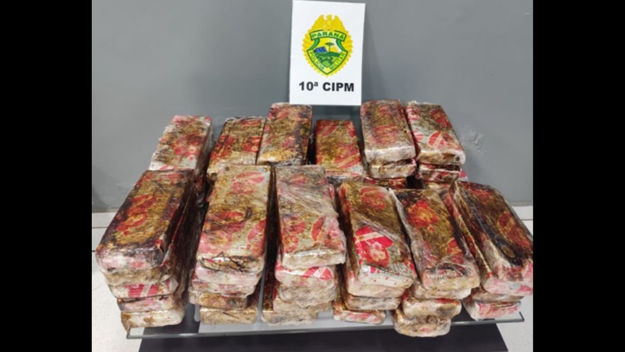 Droga foi encontrada em bagagens durante fiscalização em ônibus na rodoviária