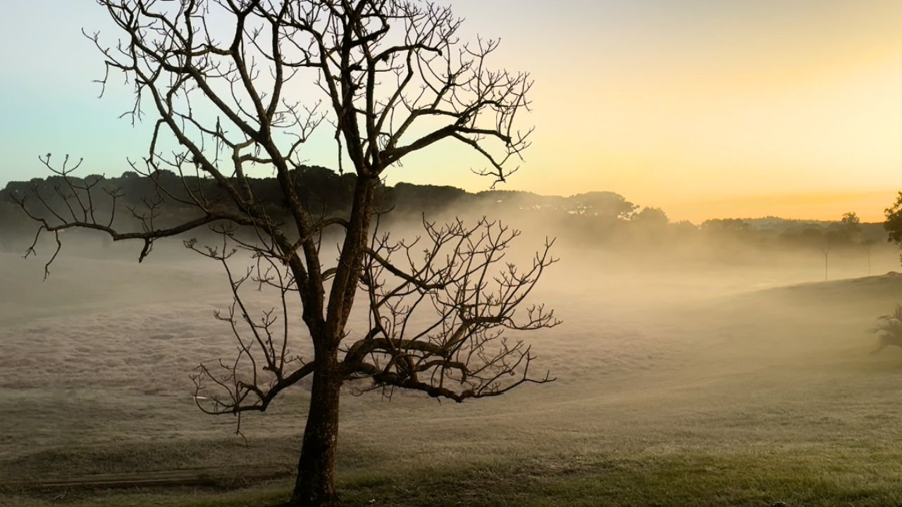 Geada foi registrada em diferentes pontos de Guarapuava após a cidade amanhecer com temperatura negativa nesta segunda-feira (11). Foto: Arquivo/ Atento News