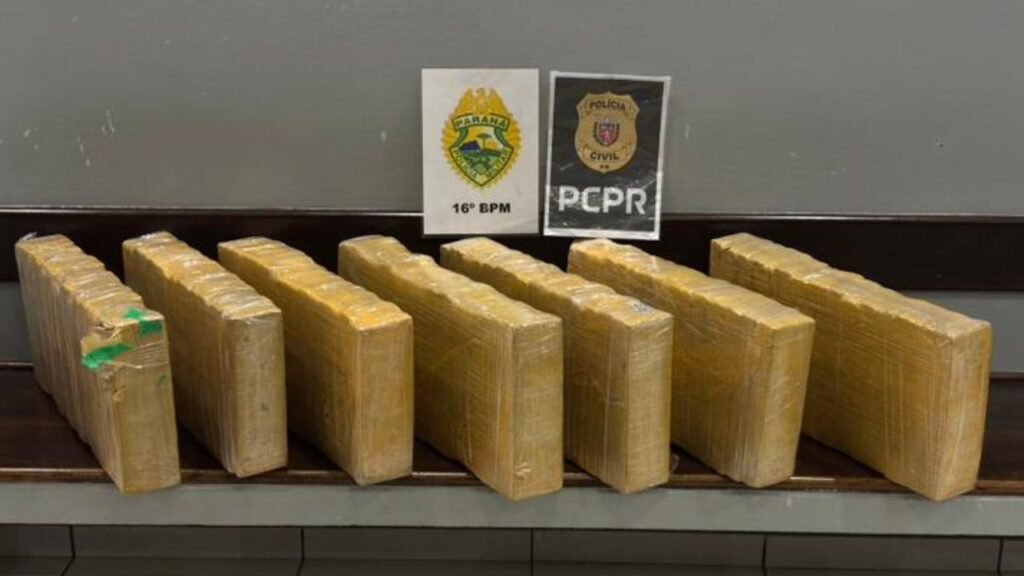 Polícia apreendeu mais de 80 quilos de maconha em Turvo