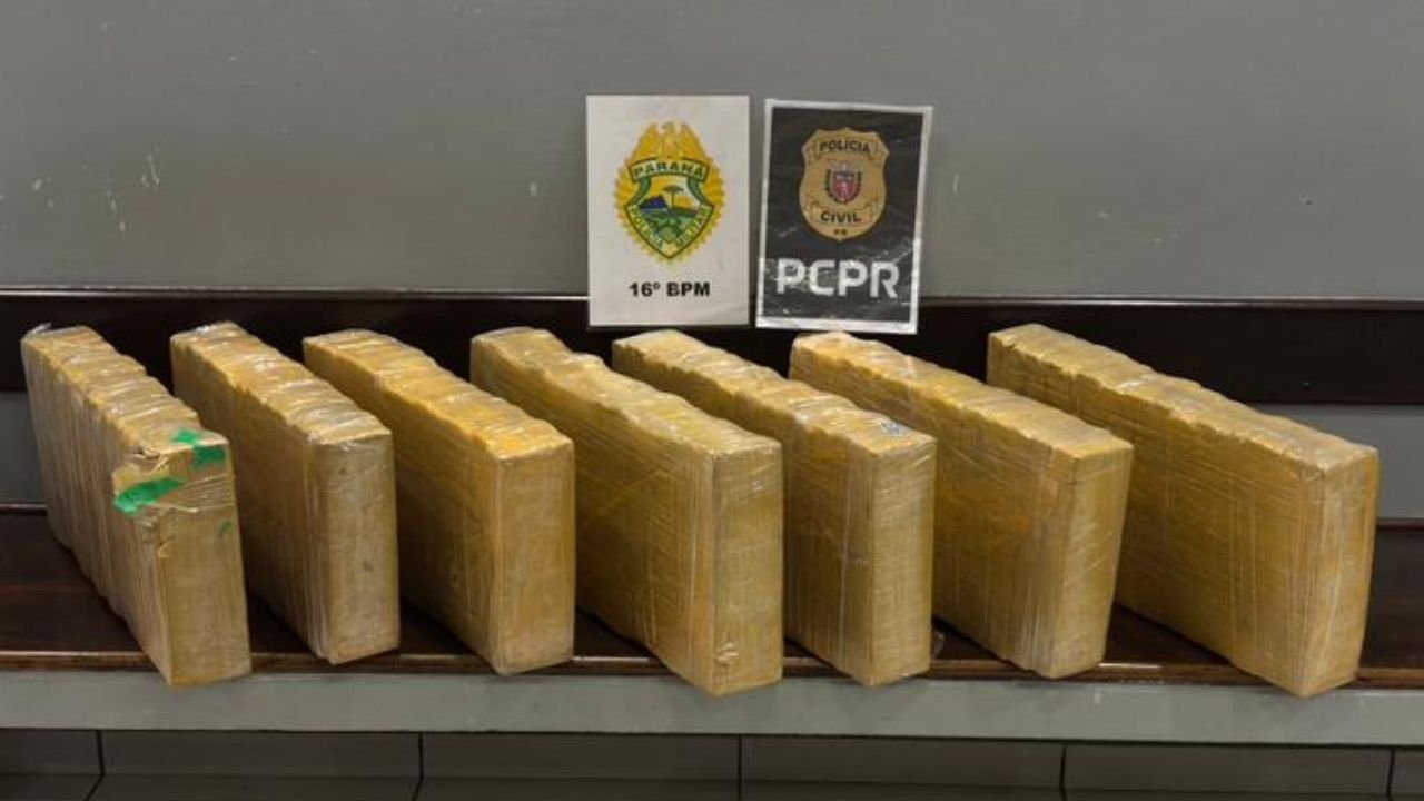 Polícia apreendeu mais de 80 quilos de maconha em Turvo