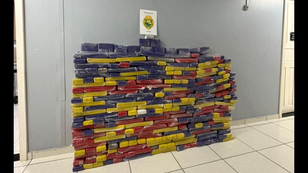 Polícia apreendeu mais de 380 quilos de maconha em veículo na BR-277