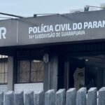 Pitbull da família...