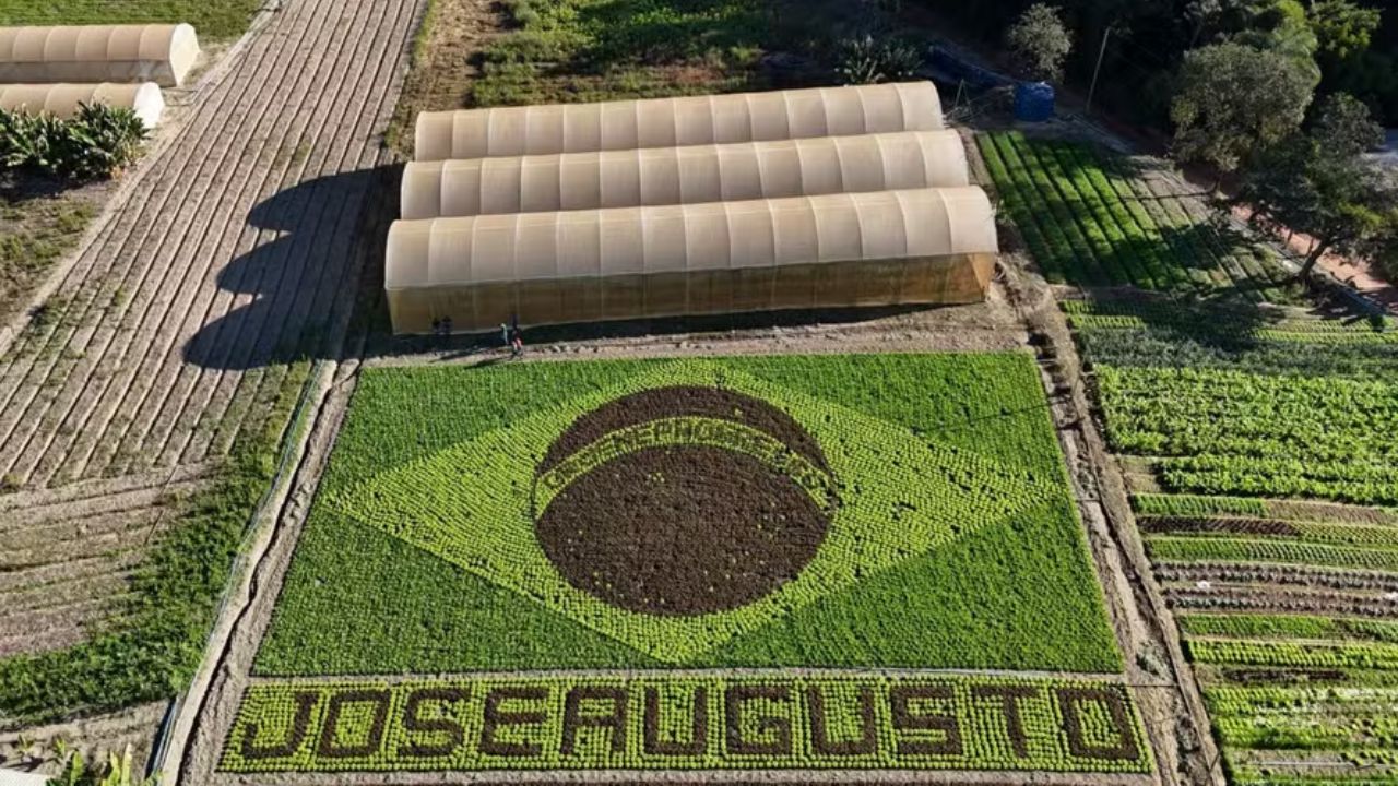 Agricultor utilizou mais de 39 mil mudas de alface e almeirão para formar uma bandeira gigante do Brasil em uma propriedade rural de Brumadinho (MG).