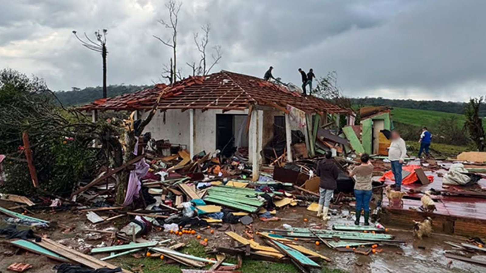 Tornado causa estragos em propriedade rural no Paraná. Foto: Reprodução/ Faep