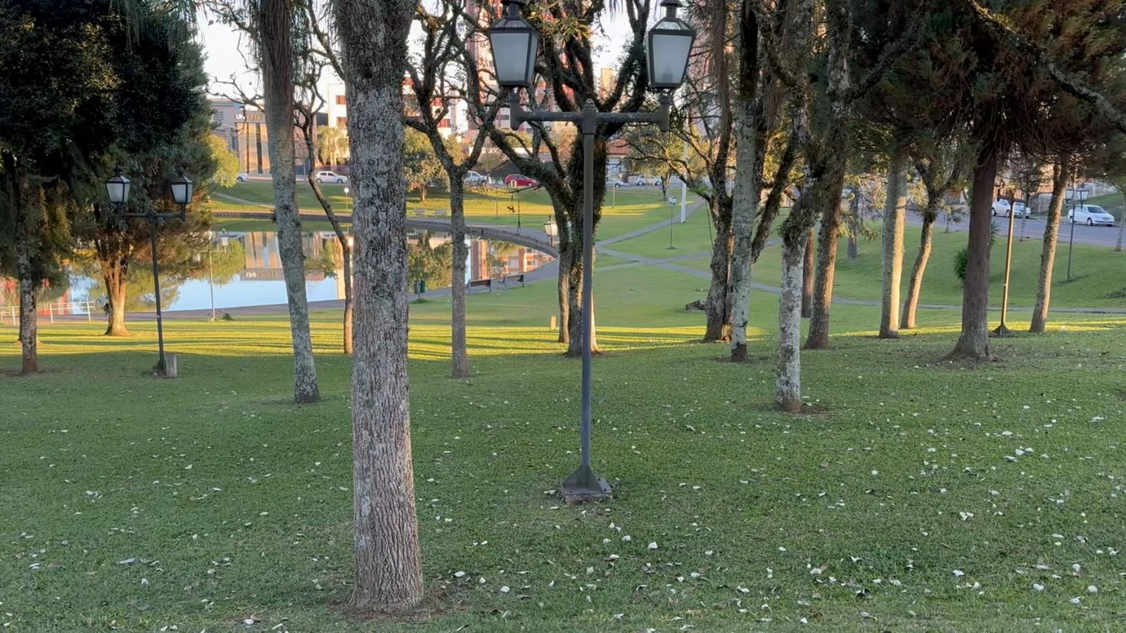 Previsão indica mínima de 5°C em Guarapuava no sábado (22), com temperaturas baixas durante o fim de semana. Foto: Ilustrativa/ Arquivo Atento News