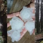Granizo causa estragos...