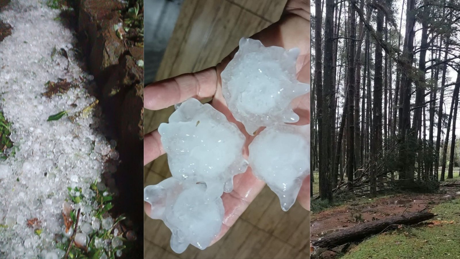 Granizo e temporais causaram estragos em Guarapuava, Pinhão e Candói. Pinhão contabiliza 384 casas atingidas e Parque do Jordão foi isolado.