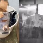 Cachorro deixado dentro...
