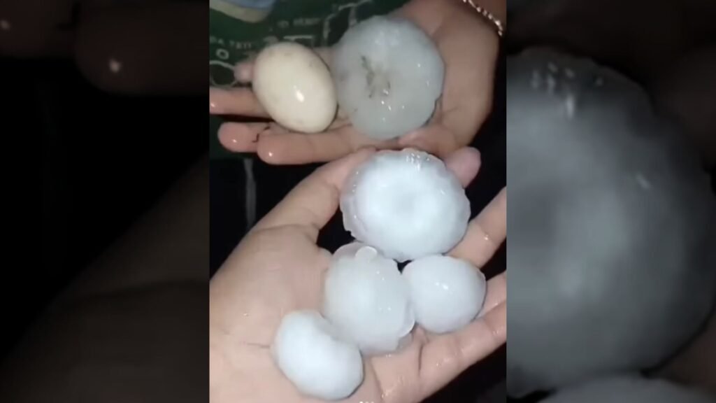 Pedras de granizo registradas após o temporal que atingiu o interior de Pinhão no domingo (27). Foto: Reprodução/ Redes Sociais