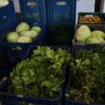 Feira Sustentável de...