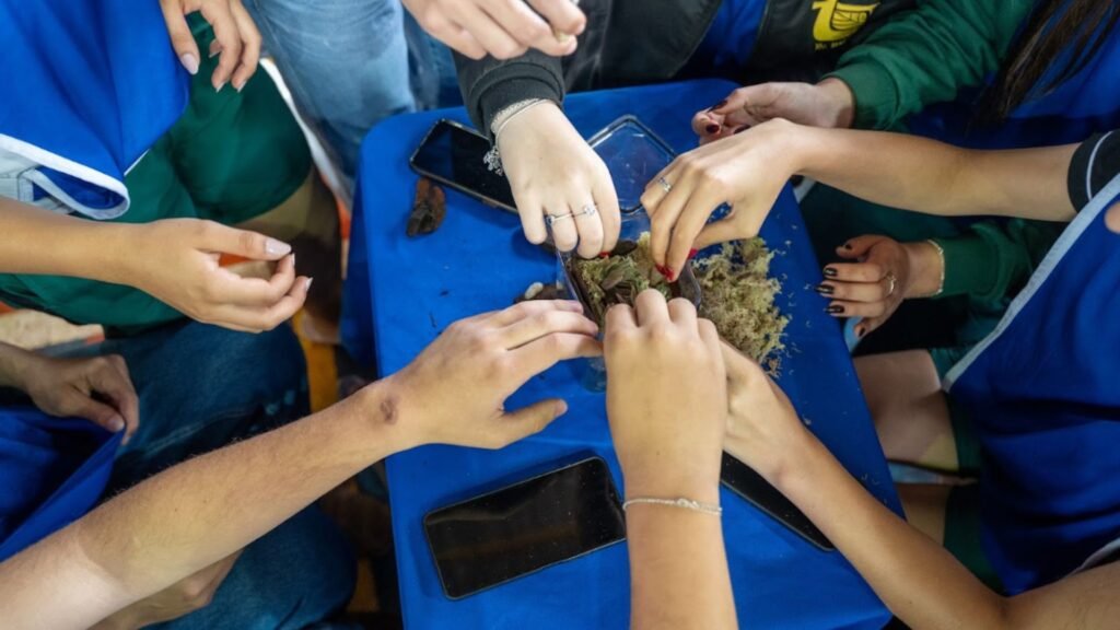 Festival AgriCULTURA Sustentável será realizado de 5 a 9 de outubro no Colégio Dom Pedro I, em Guarapuava, com sete oficinas culturais e educativas. Foto: Divulgação